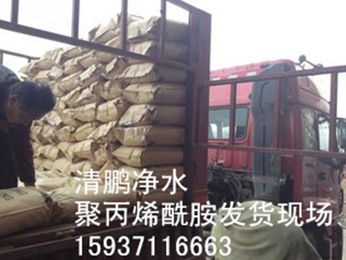 陰離子聚丙烯酸胺發(fā)貨現(xiàn)場